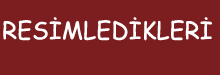 resimledikleri